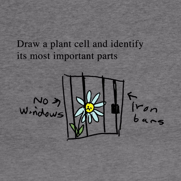 Plant Cells - Exam Question by The Blue Box